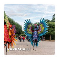 Straattheater Spectaculair: Pappagalli