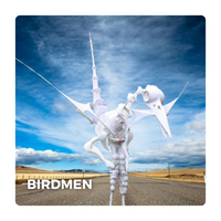 Straattheater Spectaculair: Birdmen