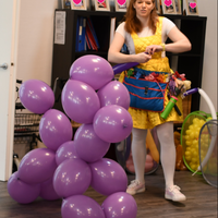Ballonen Camper Boeken / Inhuren Verschillende Ballonfiguren